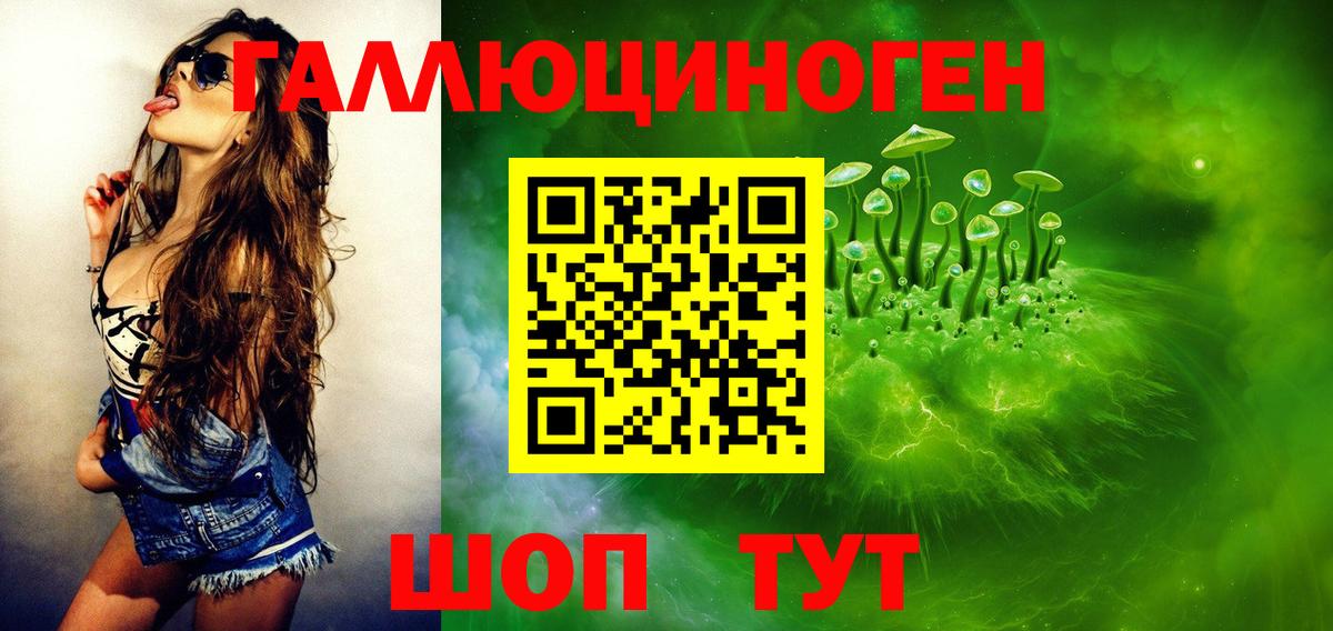 Псилоцибиновые грибы Psilocybine cubensis Ефремов